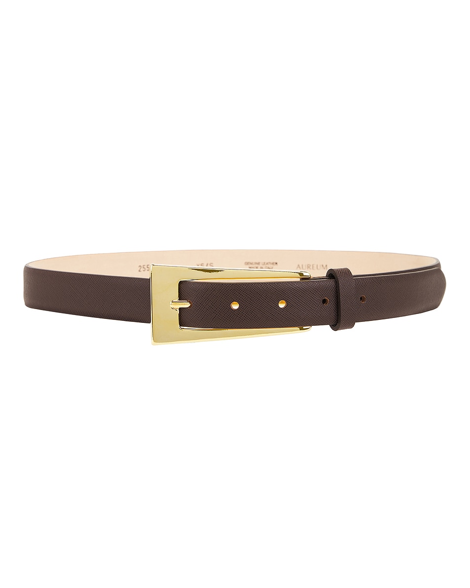 Image 1 of AUREUM No. 10 Coco Belt in Coco & Gold