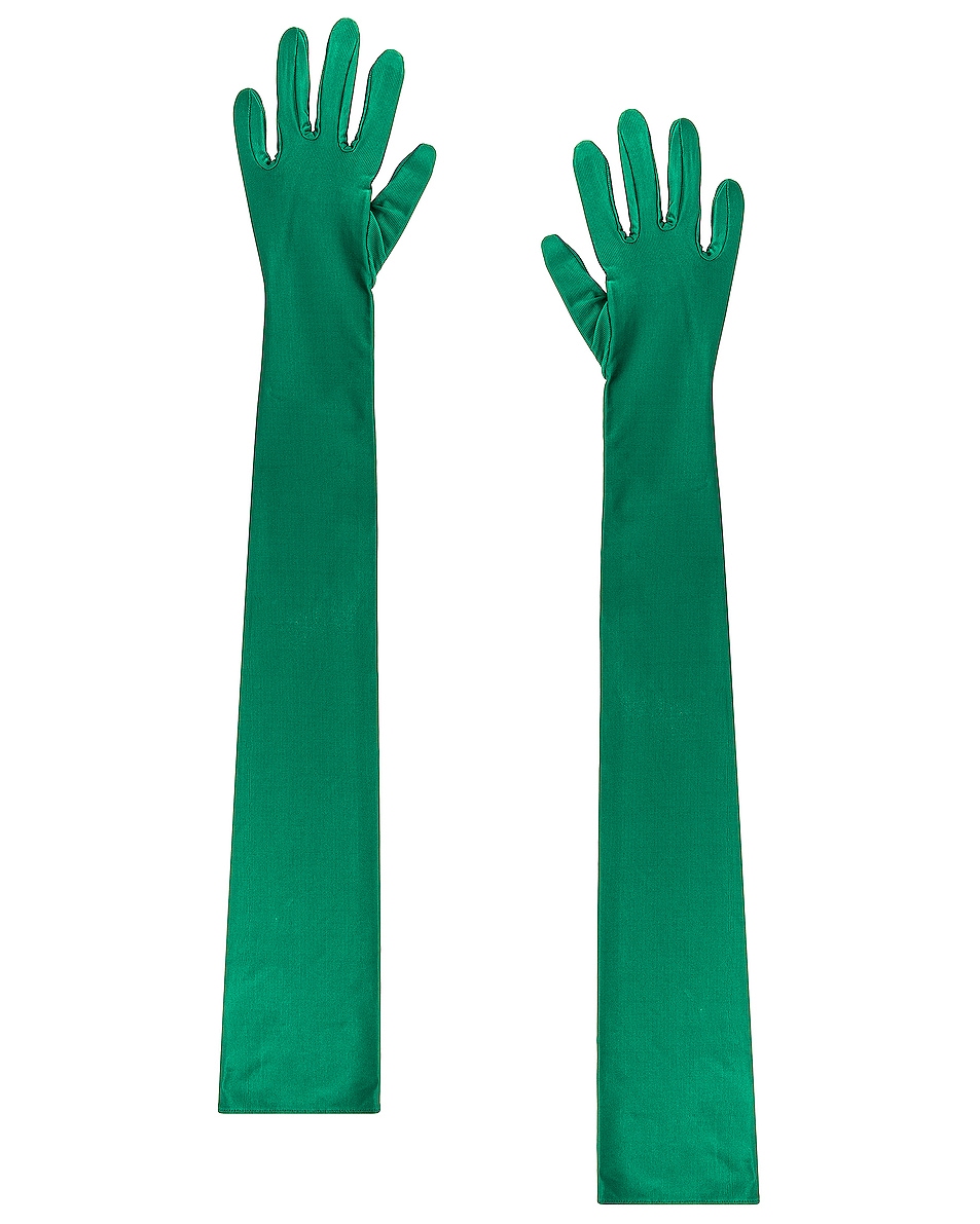 Image 1 of Alexandre Vauthier Gloves in Forest Green