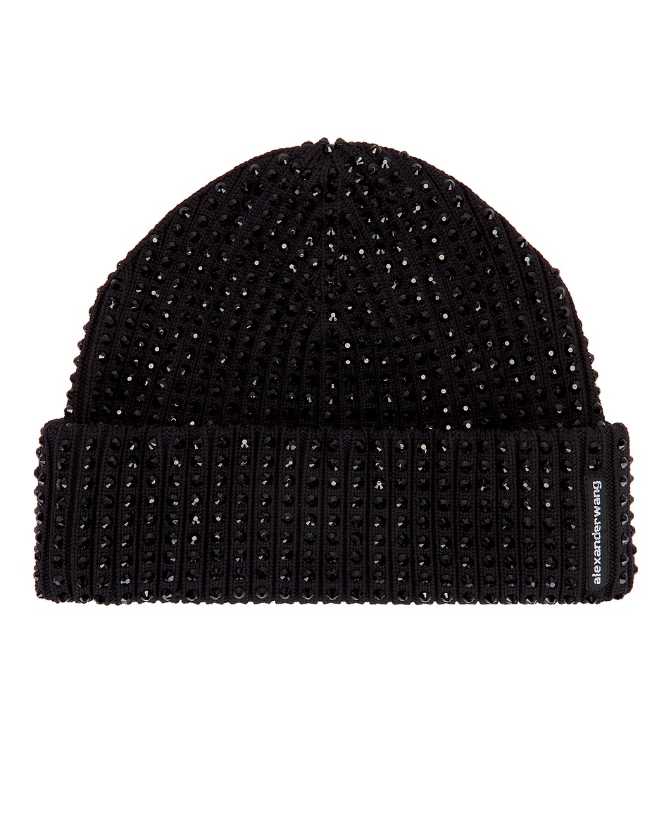 Image 1 of Alexander Wang Hotfix Rib Beanie in Black