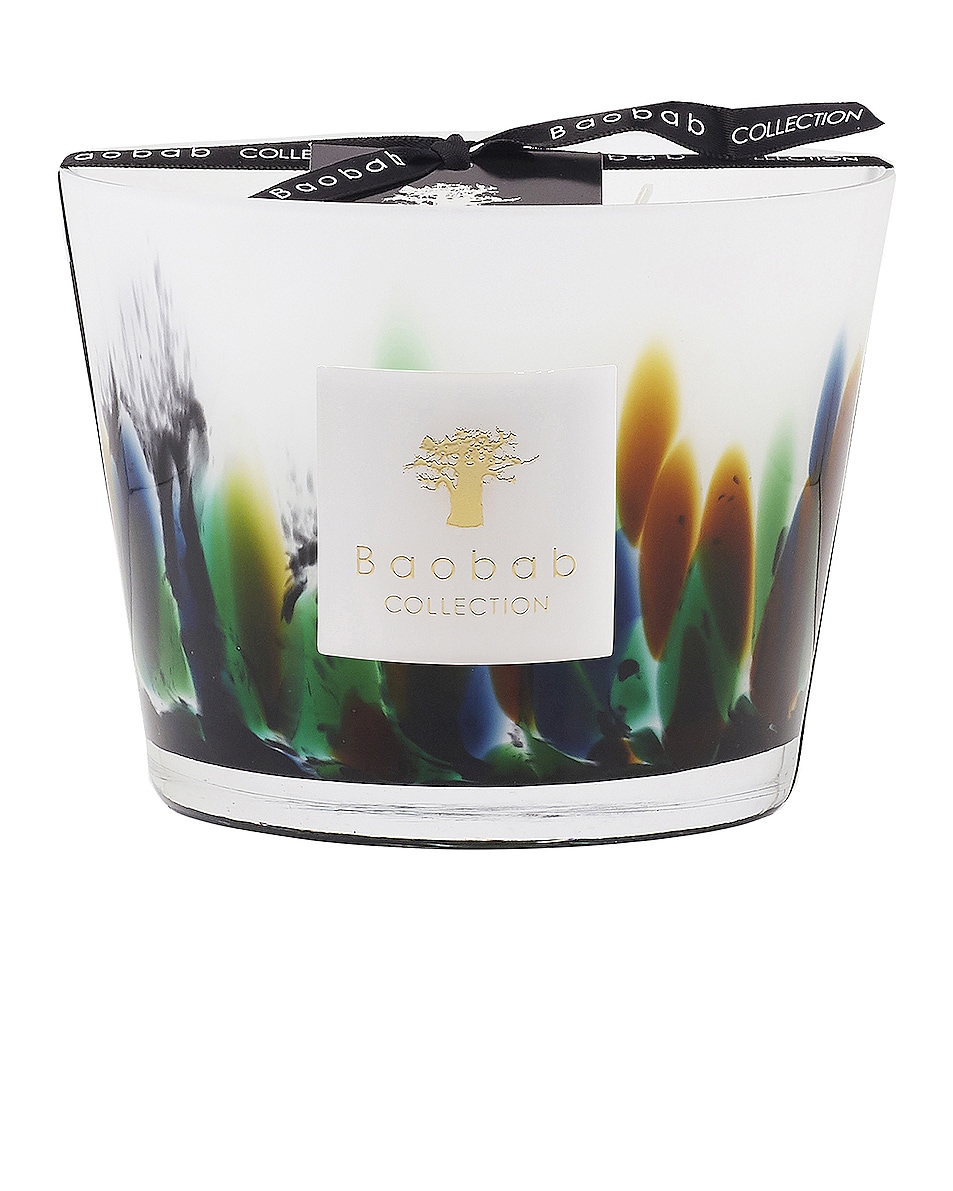 Image 1 of Baobab Collection Rainforest Candle in Amazonia