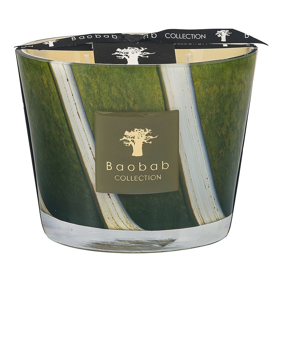 Image 1 of Baobab Collection Sherwood Max 10 Candle in 