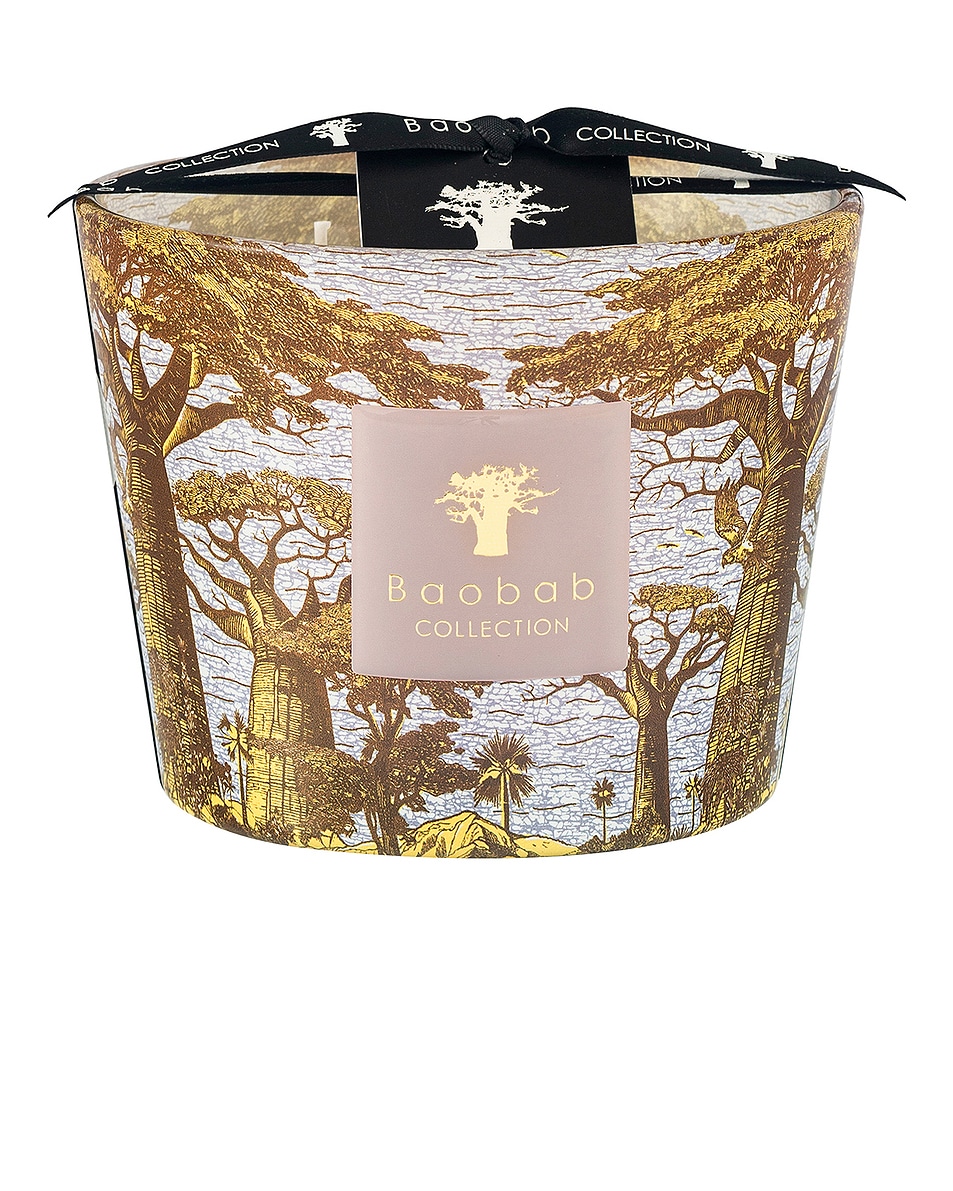 Image 1 of Baobab Collection Bounkani Max 10 Candle in 