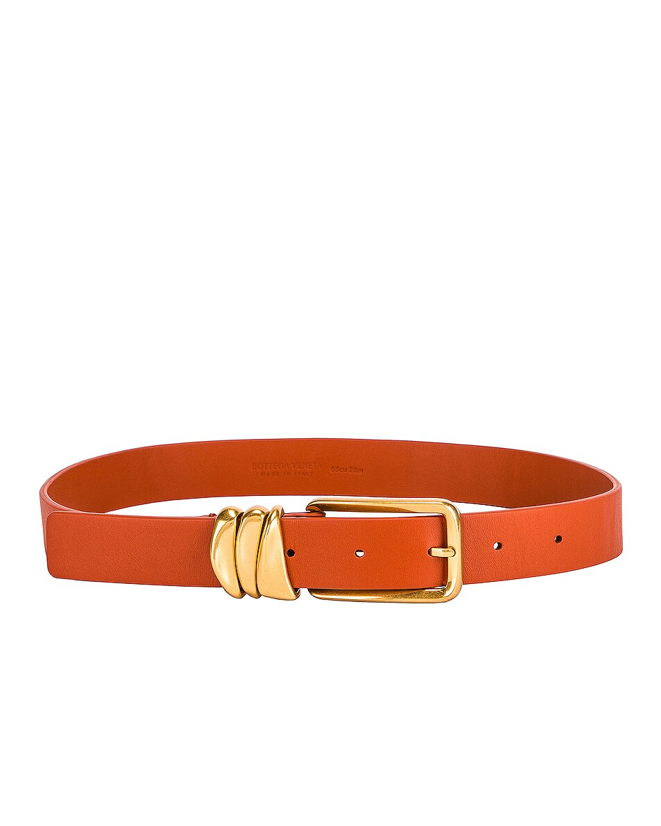 Image 1 of Bottega Veneta Metal Loops Belt in Maple & Gold