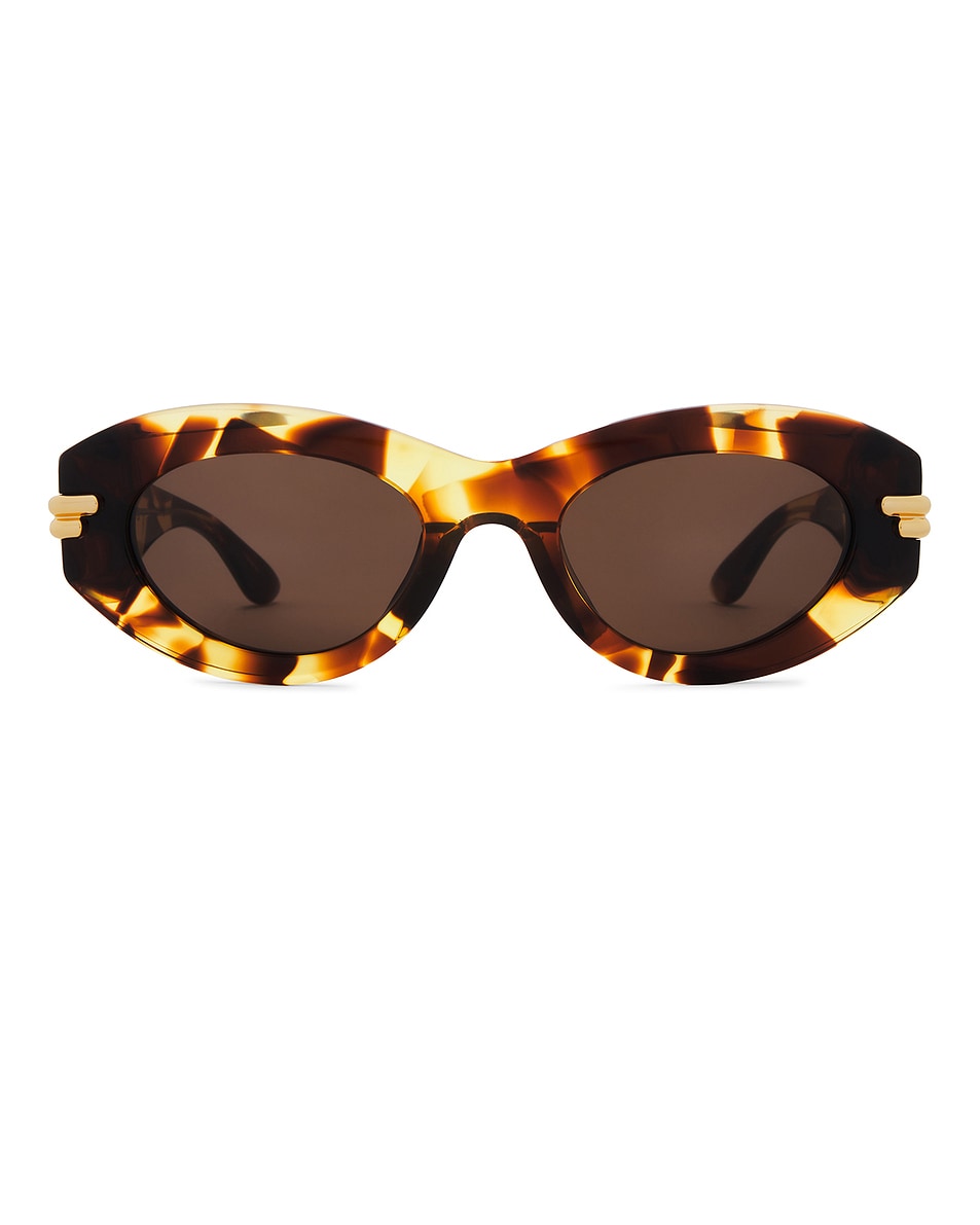 Image 1 of Bottega Veneta Oval Sunglasses in Havana & Brown