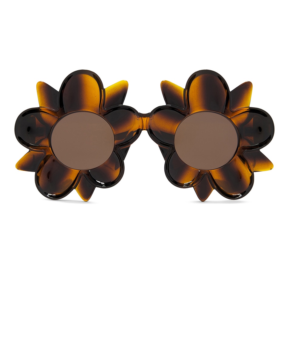 Image 1 of Bottega Veneta Flower Sunglasses in Havana & Brown