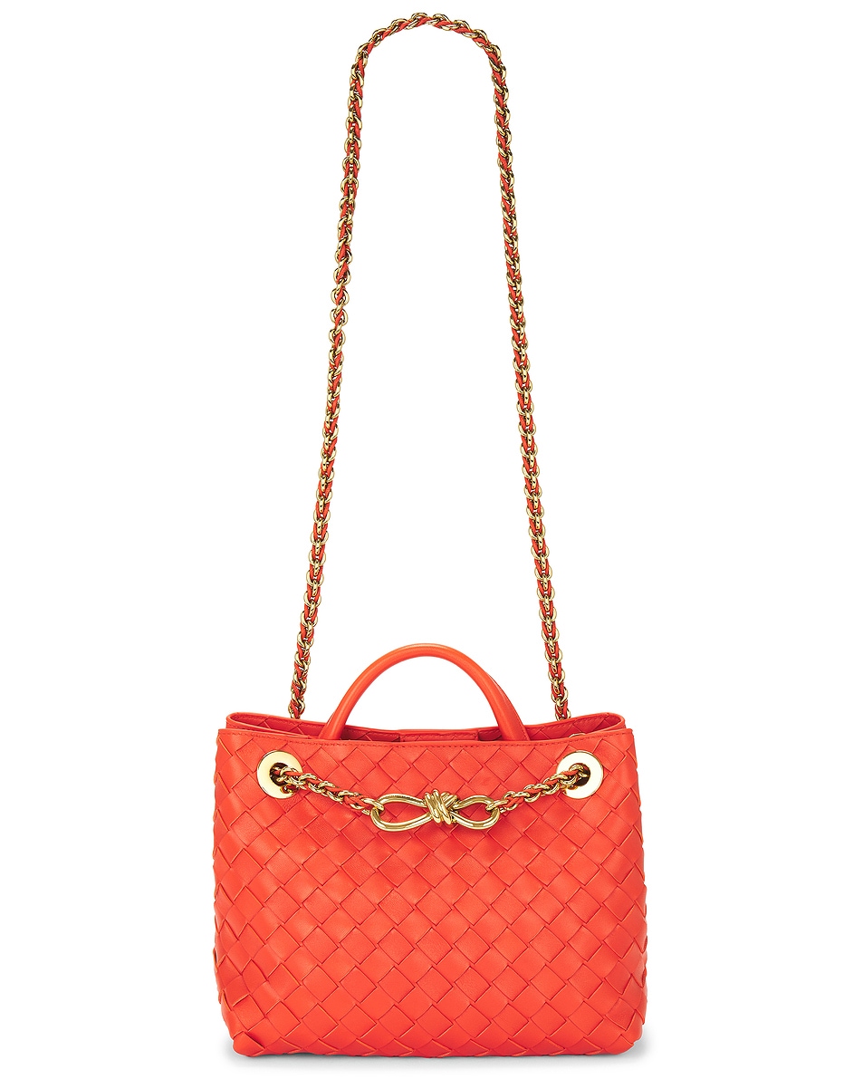 Image 1 of Bottega Veneta Small Andiamo Bag in Orange & Muse Brass