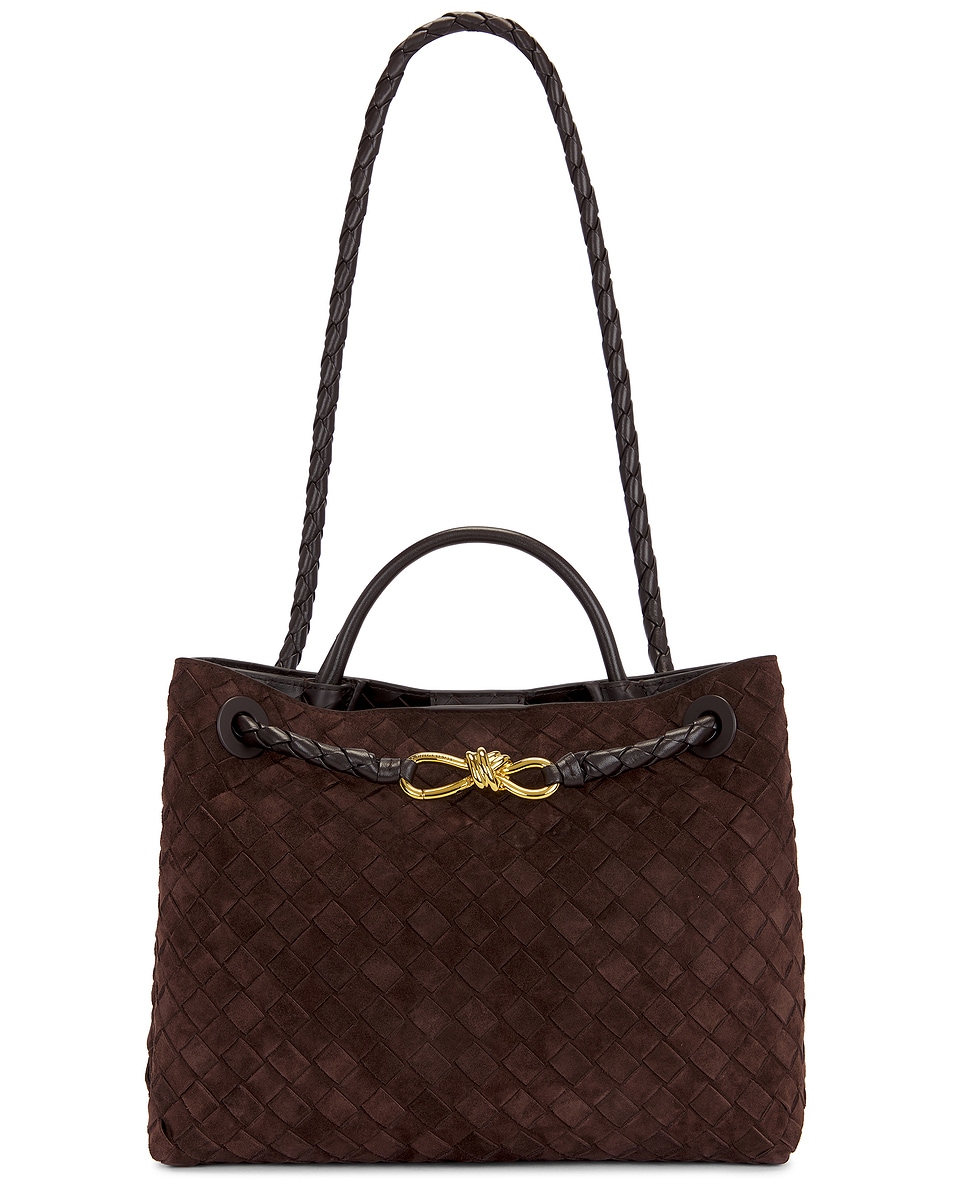 Image 1 of Bottega Veneta Medium Andiamo Bag in Fondant & Muse Brass