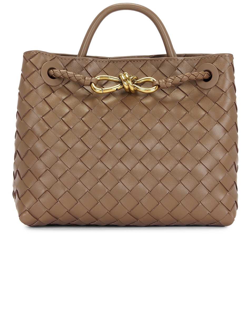 Image 1 of Bottega Veneta Small Andiamo Bag in Pinecone & Muse Brass