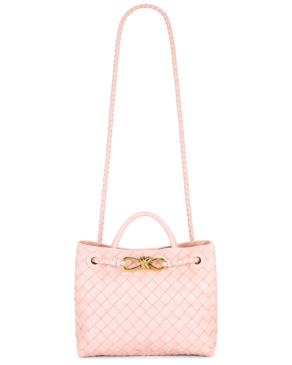 Image 1 of Bottega Veneta Small Andiamo Bag in Rose & Muse Brass