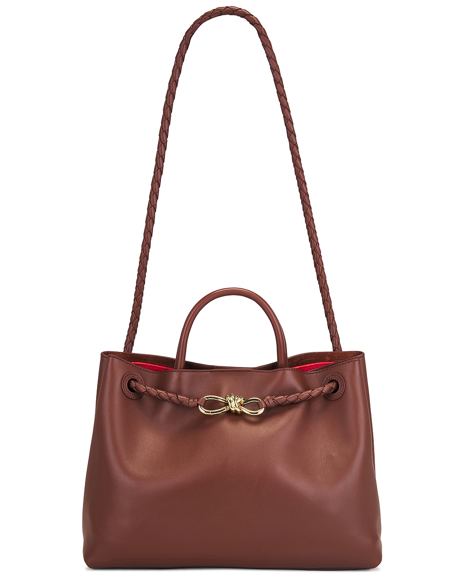 Image 1 of Bottega Veneta Andiamo Bag in Sapele, Red Stone, & Muse Brass