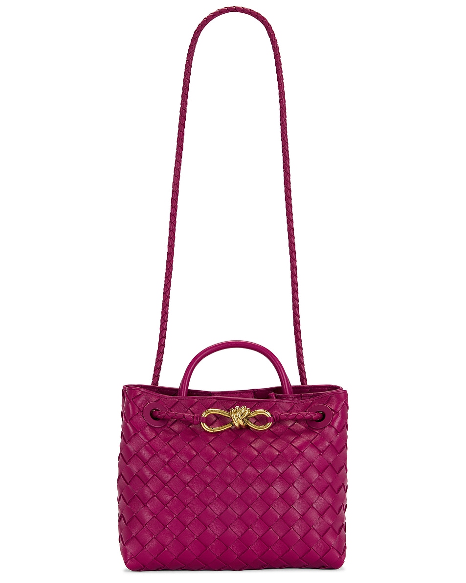 Image 1 of Bottega Veneta Small Andiamo Bag in Cinnabar & Muse Brass