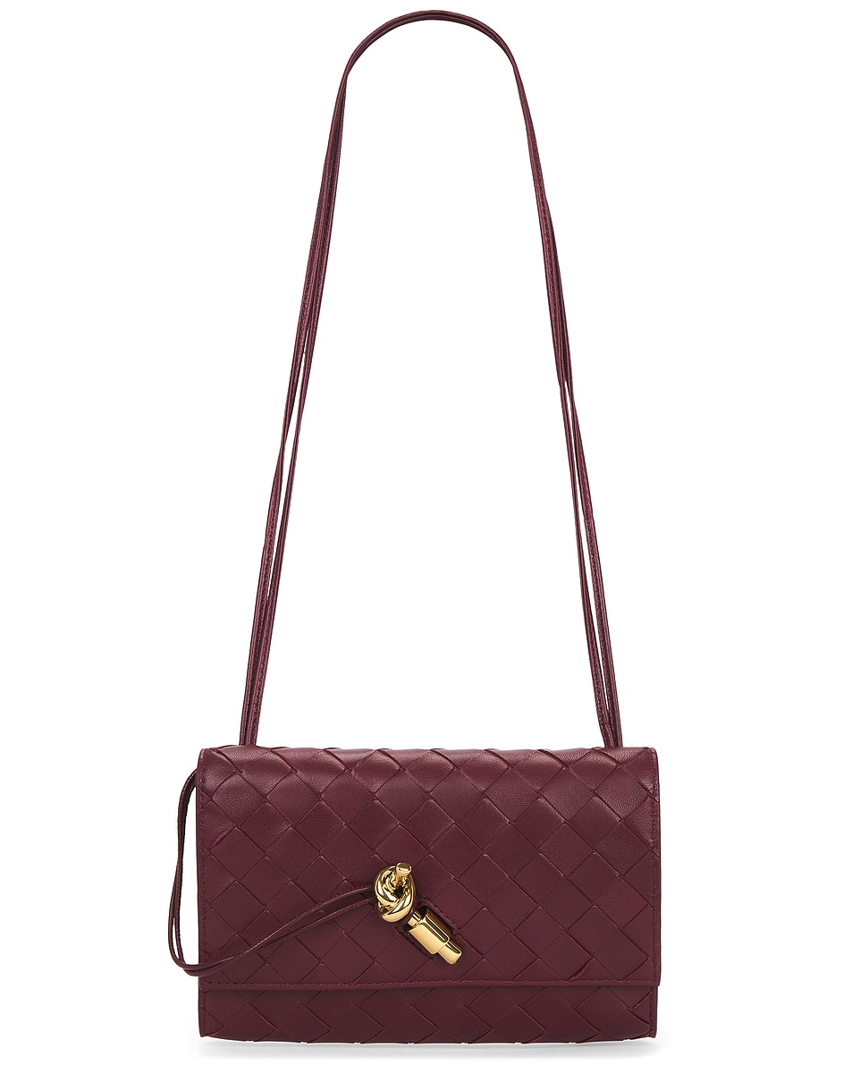 Image 1 of Bottega Veneta Andiamo Slim Pouch On Strap in Barolo & Muse Brass