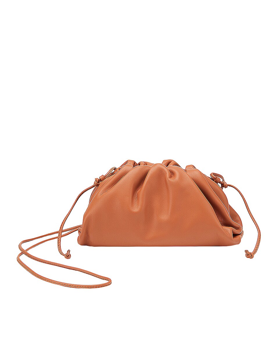 Image 1 of Bottega Veneta The Mini Pouch Crossbody Bag in Clay & Gold
