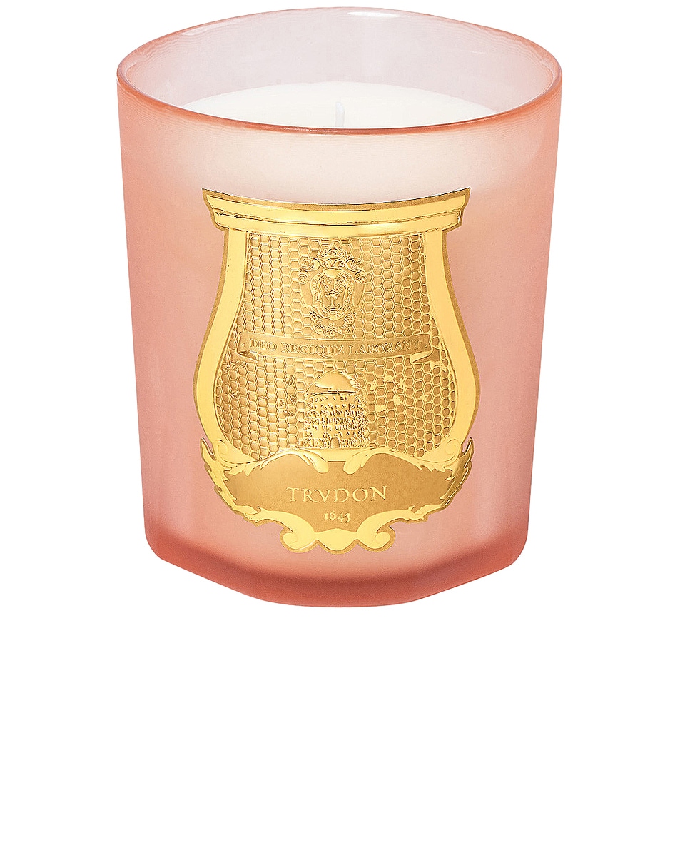 Image 1 of Trudon X Les Archives Nationales Tuileries Candle in Floral & Fruity Chypre