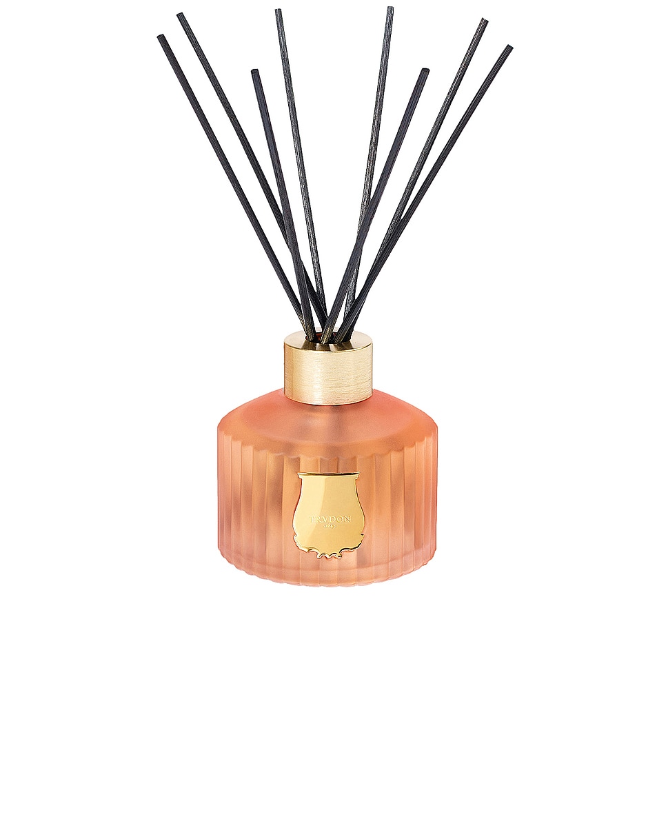Image 1 of Trudon X Les Archives Nationales Tuileries Diffuser in Floral & Fruity Chypre
