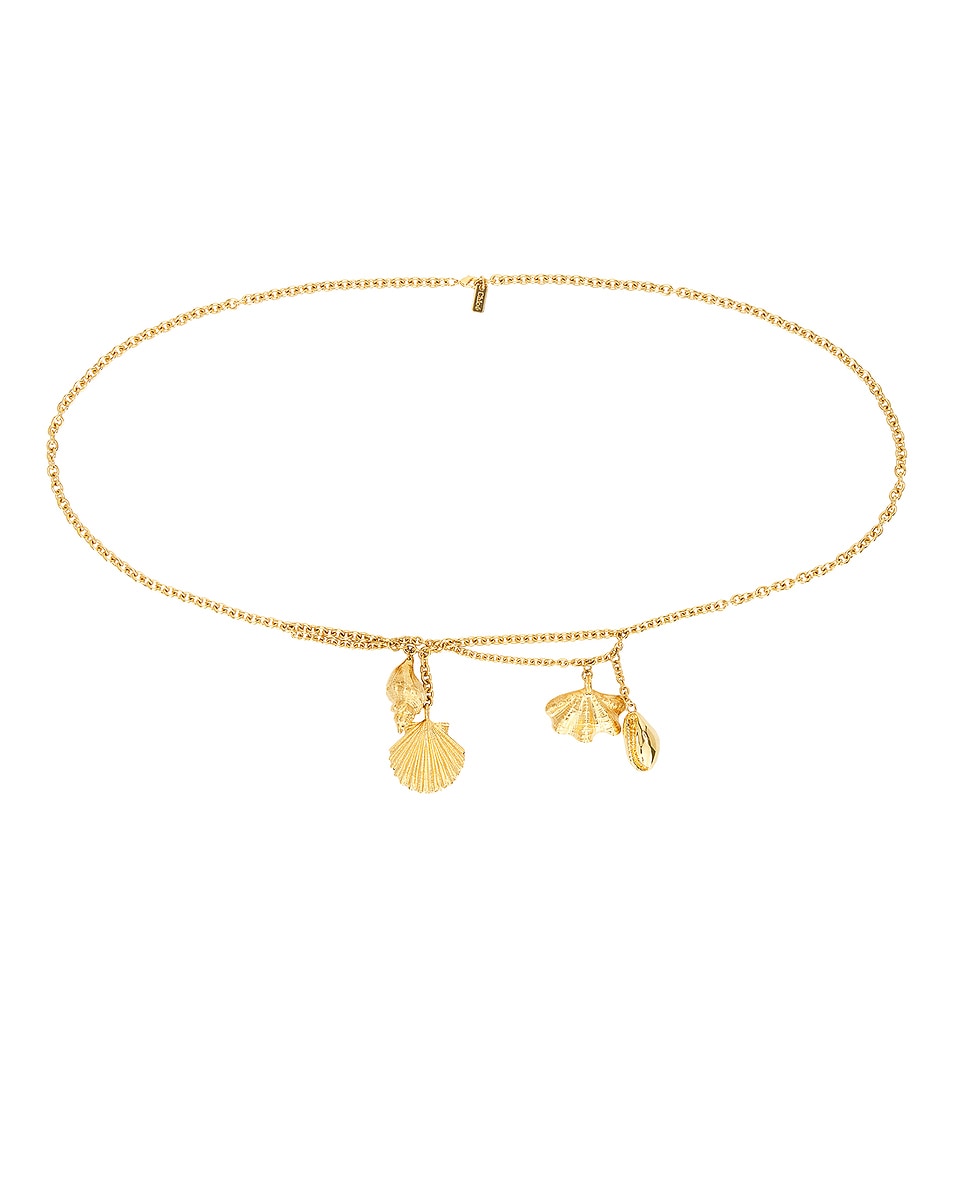Image 1 of Chloe Shells Belt in Vintage Gold