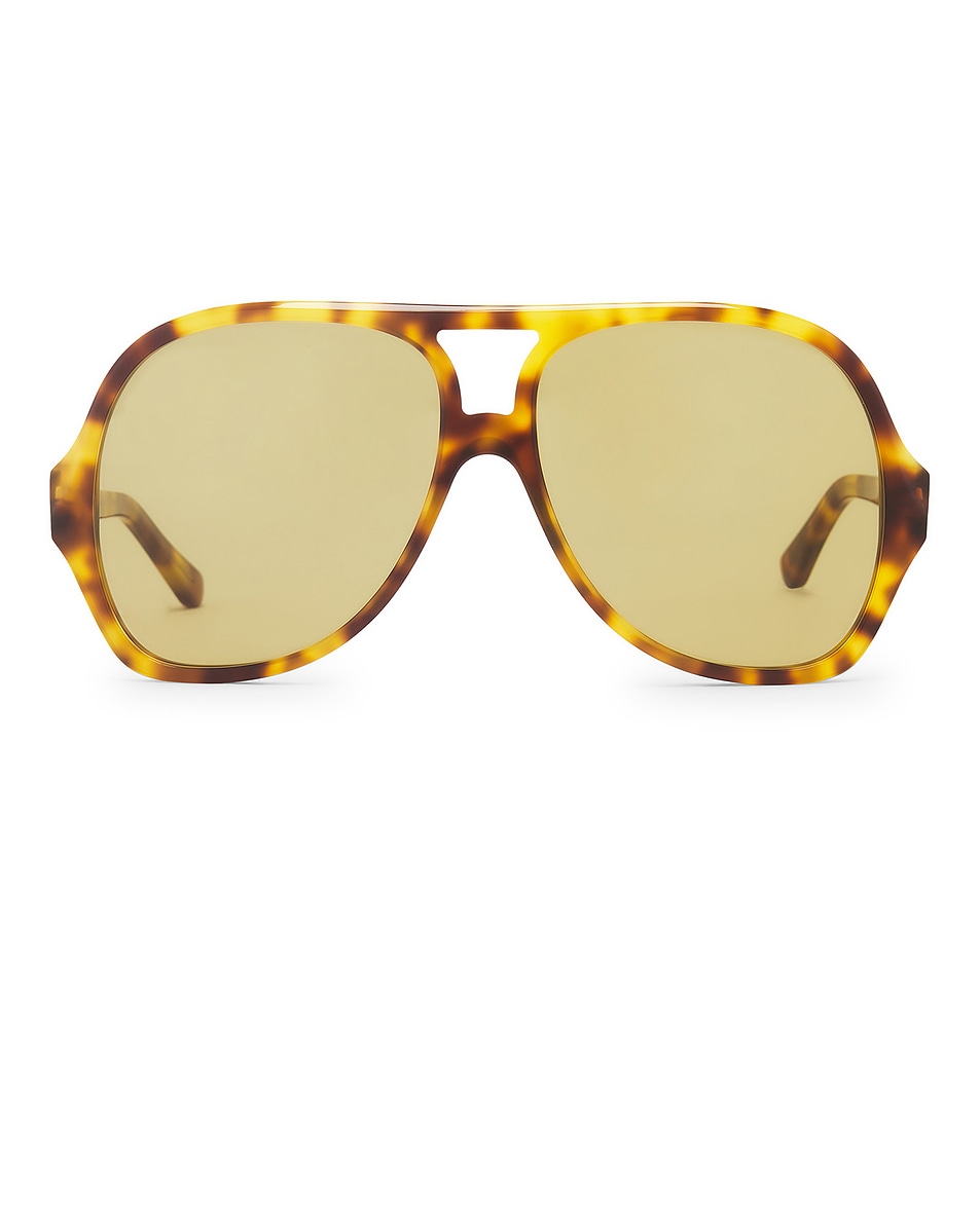 Image 1 of Chloe Salome Sunglasses in Havana & Green