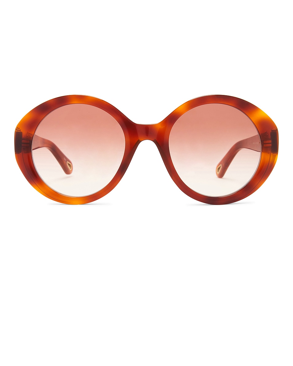 Image 1 of Chloe Marcie Sunglasses in Havana & Brown