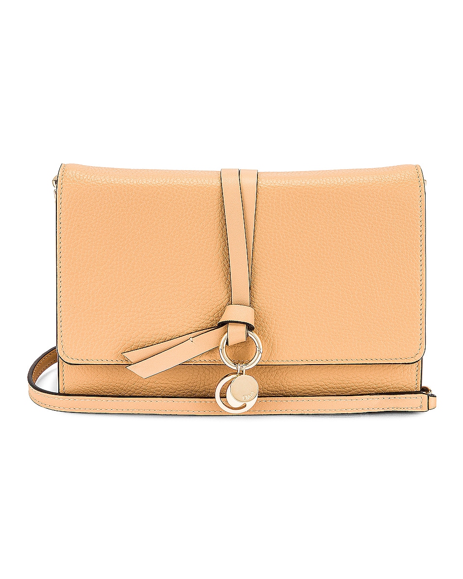 Image 1 of Chloe Mini Alphabet Bag in Soft Tan