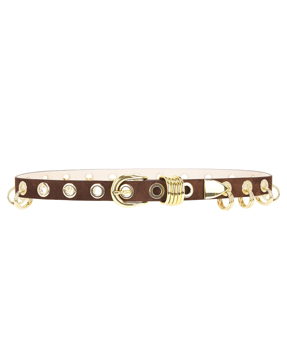 Image 1 of DEHANCHE Revenge Suede Belt in Chocolate & Gold