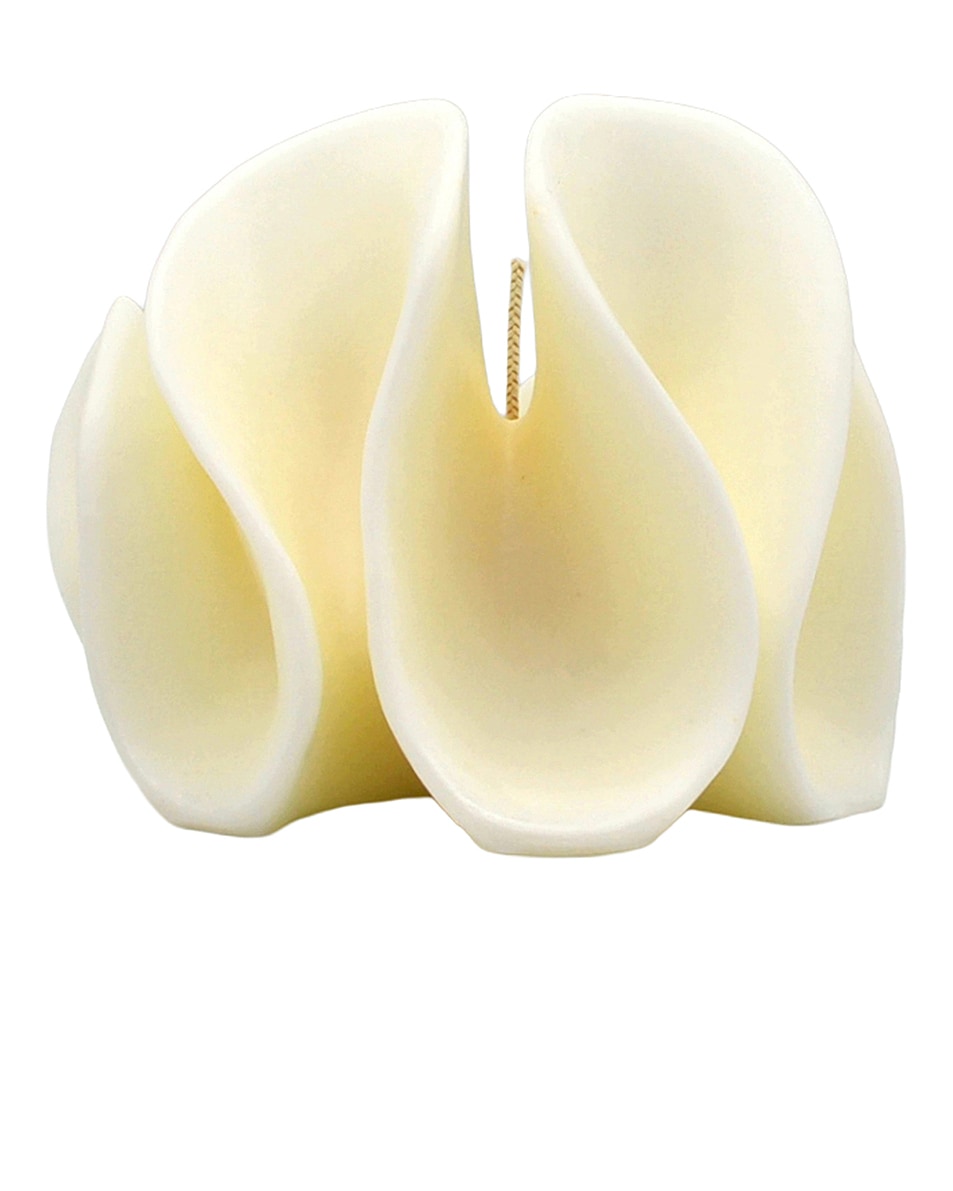 Image 1 of Davie Ocho Candle Co. Aurora Candle in 