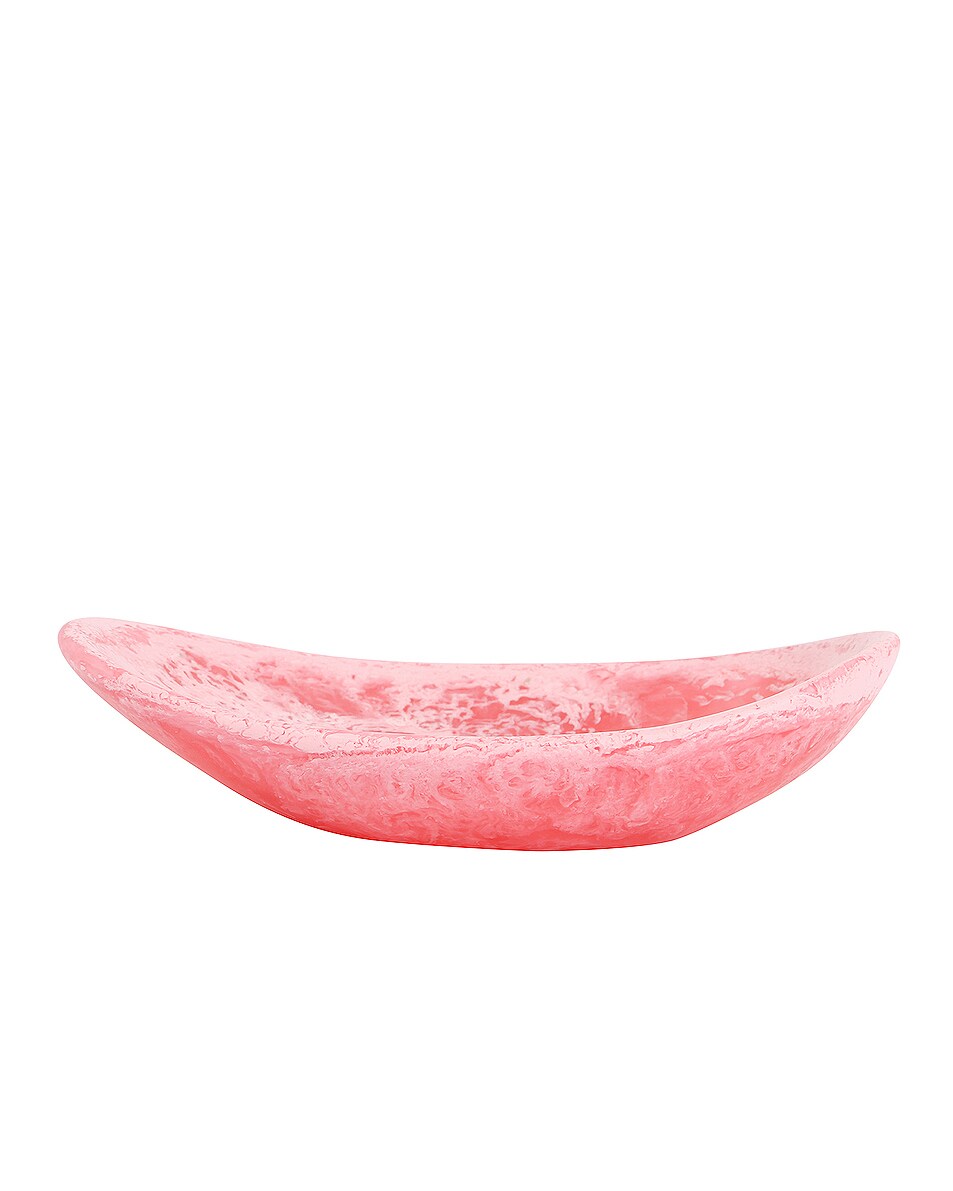 Image 1 of DINOSAUR DESIGNS Wildflower Seed Dish in Pink Guava