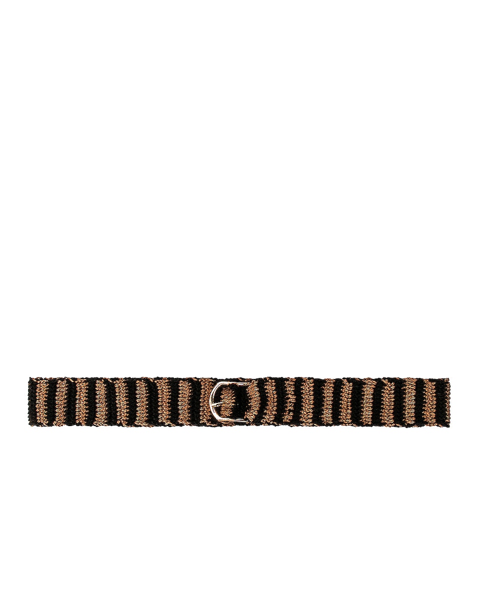 Image 1 of Diotima Crochet Belt in Brown & Black