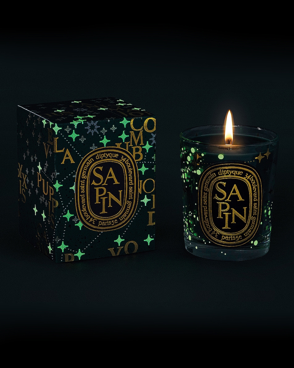 Diptyque Sapin Candle 190g in Pine Tree FWRD