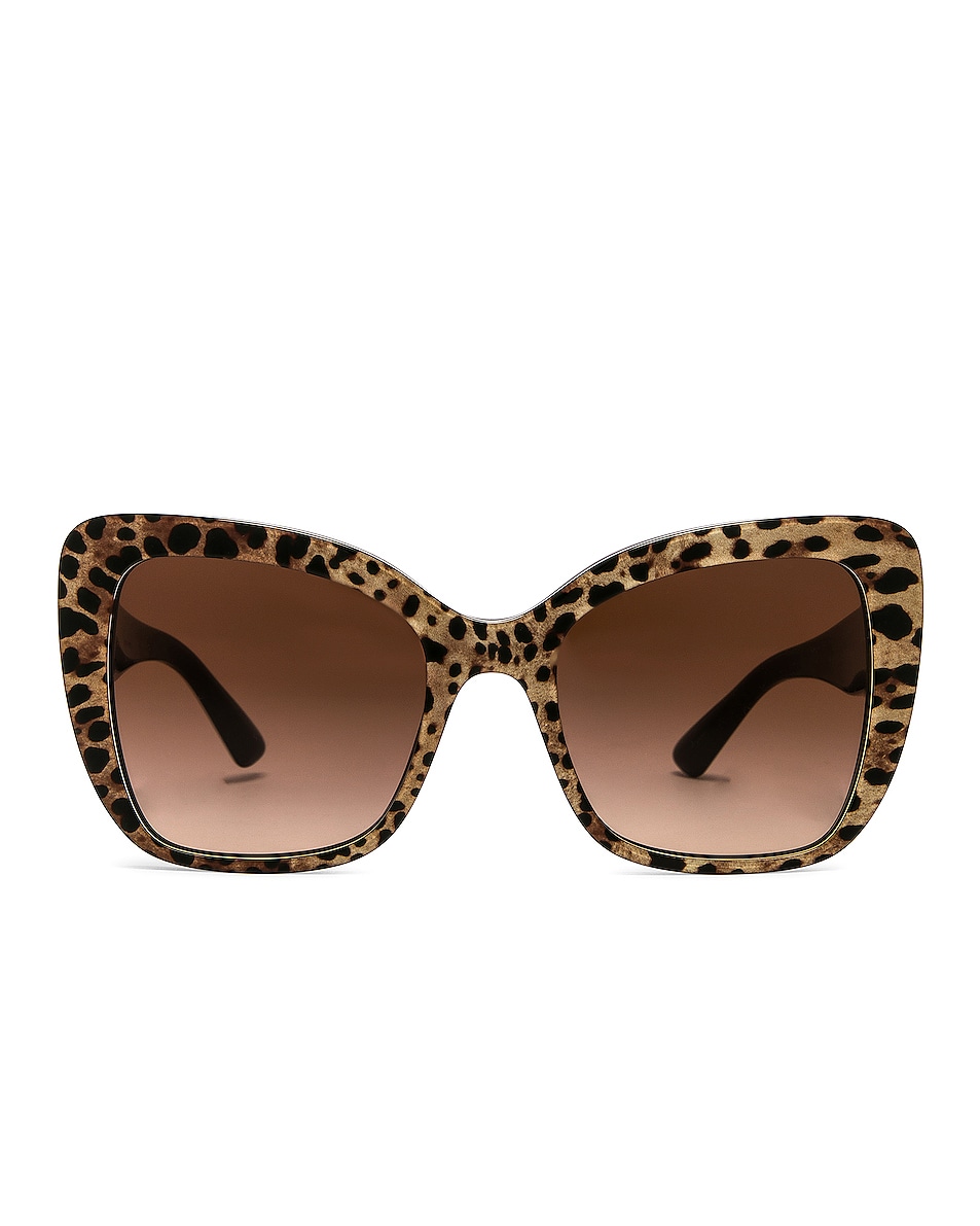 Image 1 of Dolce & Gabbana Square Sunglasses in Leopard