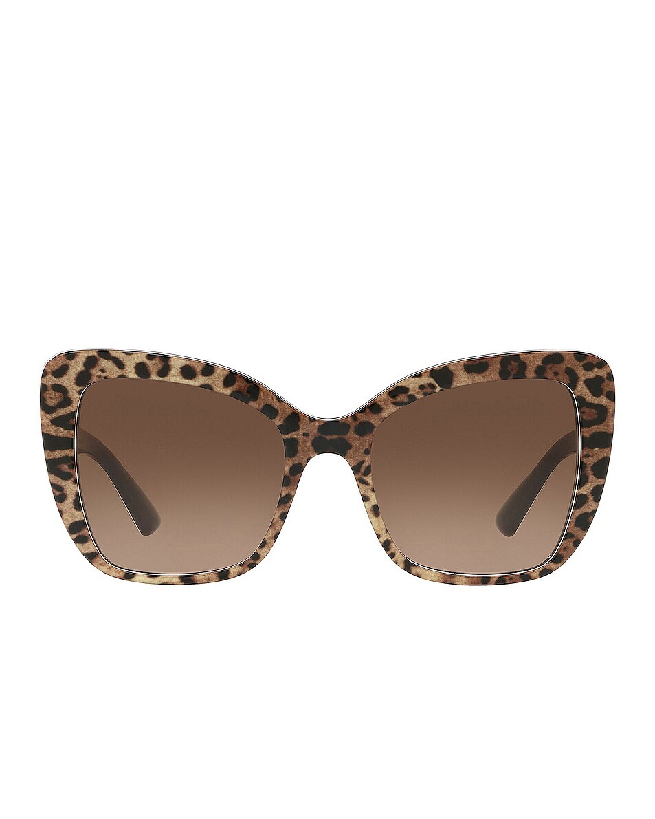 Image 1 of Dolce & Gabbana Square Cat Eye Sunglasses in Leopard