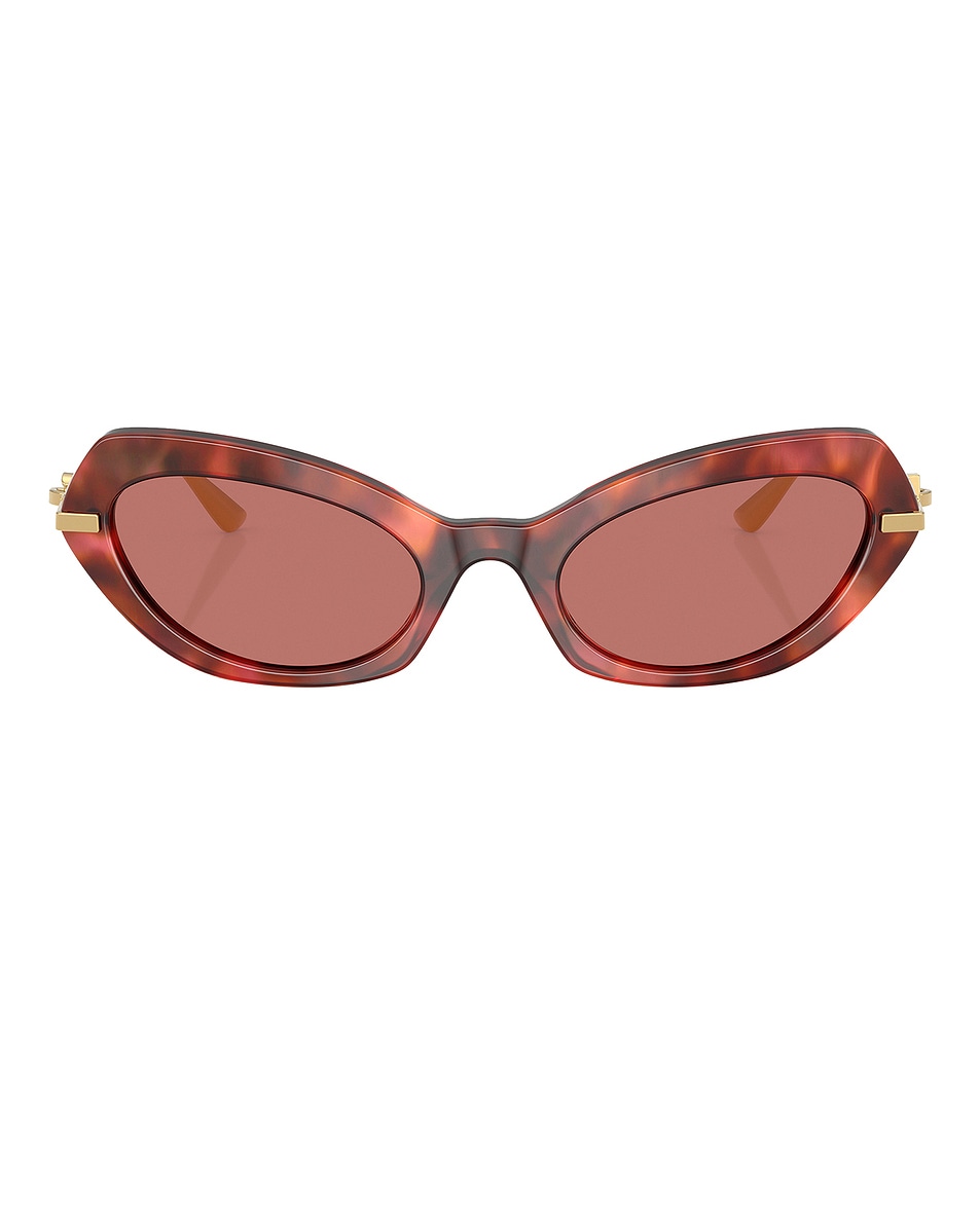 Image 1 of Dolce & Gabbana Cat Eye Sunglasses in Havana Brown