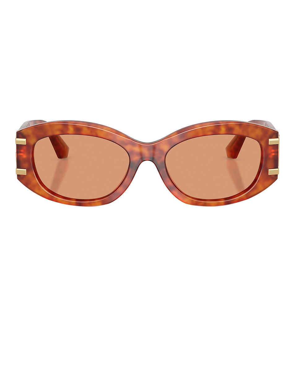 Image 1 of Dolce & Gabbana Oval Sunglasses in Camel Havana