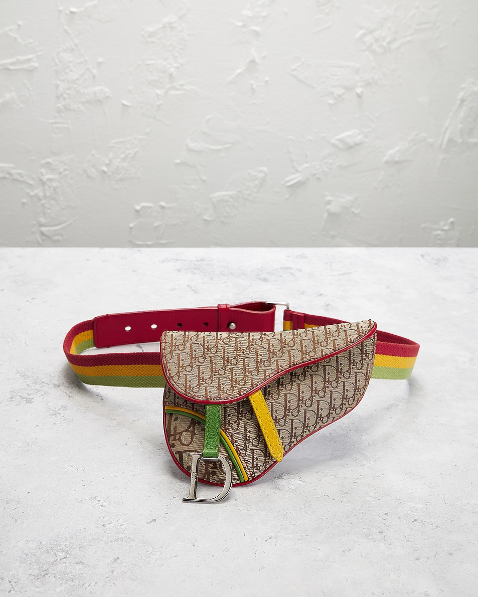 Fwrd Renew Dior Trotter Rasta Saddle Belt Bag In Multicolor Fwrd 6944