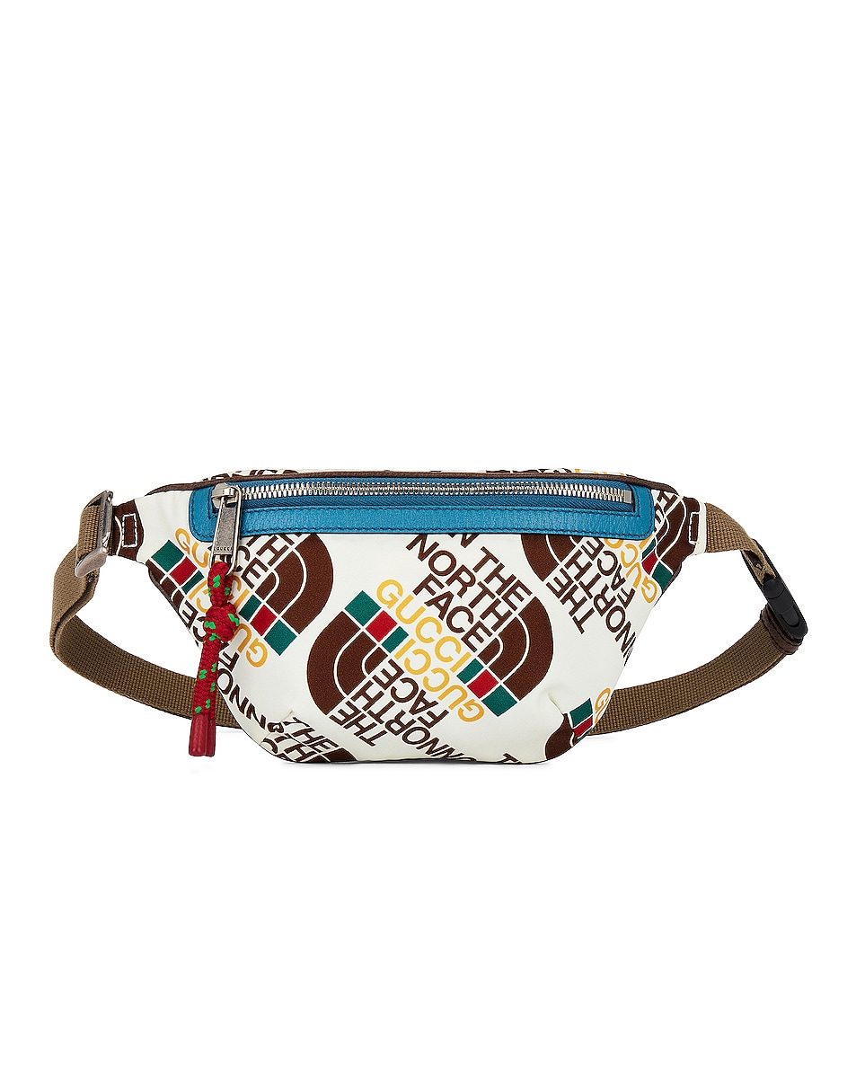 FWRD Renew Gucci X North Face Waist Bag in Multi FWRD