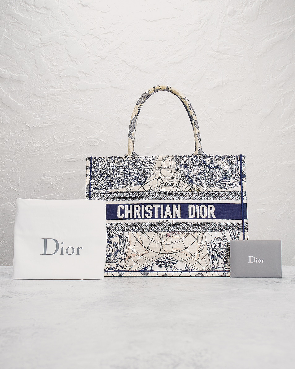 Image 10 of FWRD Renew Dior Around The World Book Tote Bag in Blue