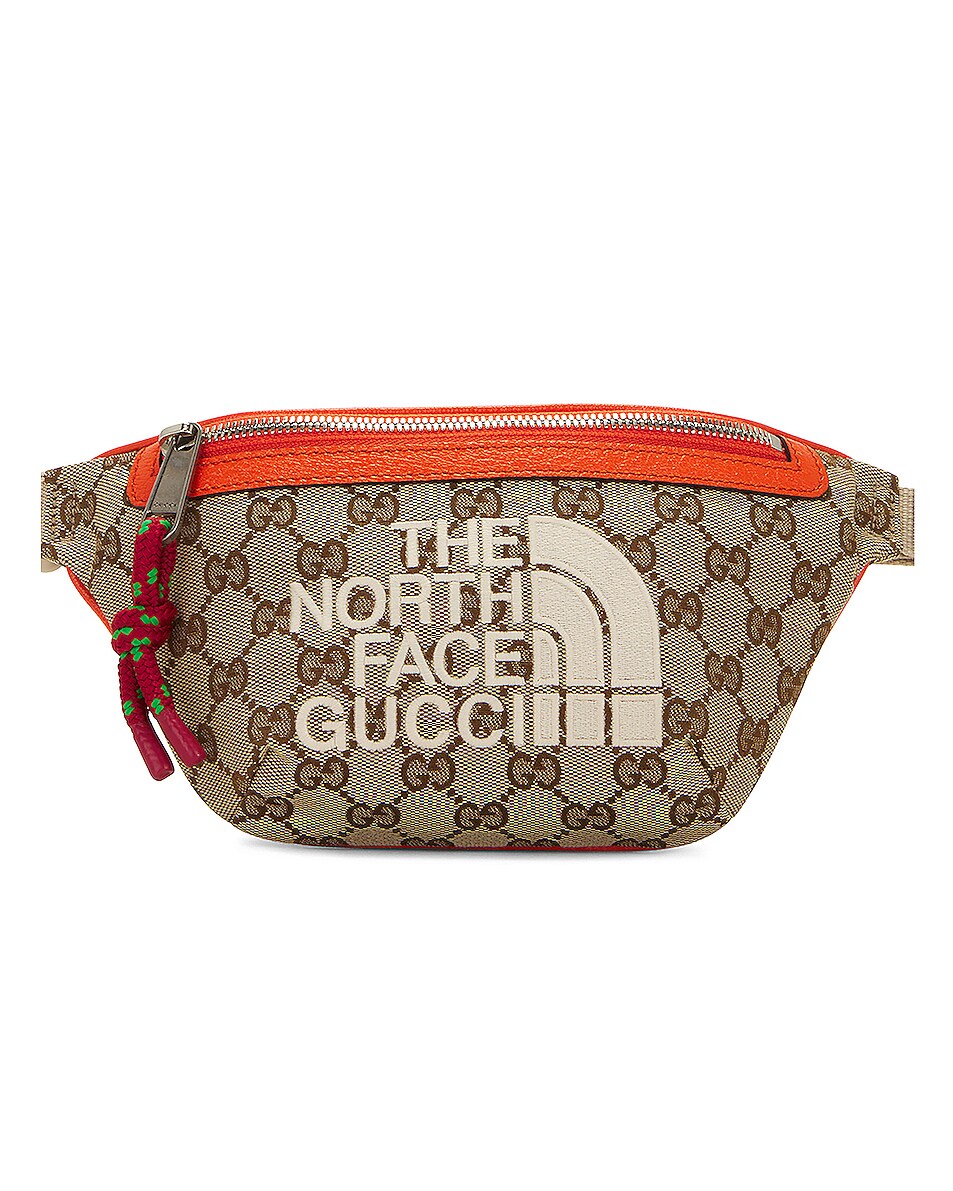 FWRD Renew Gucci X North Face Belt Bag in Brown FWRD