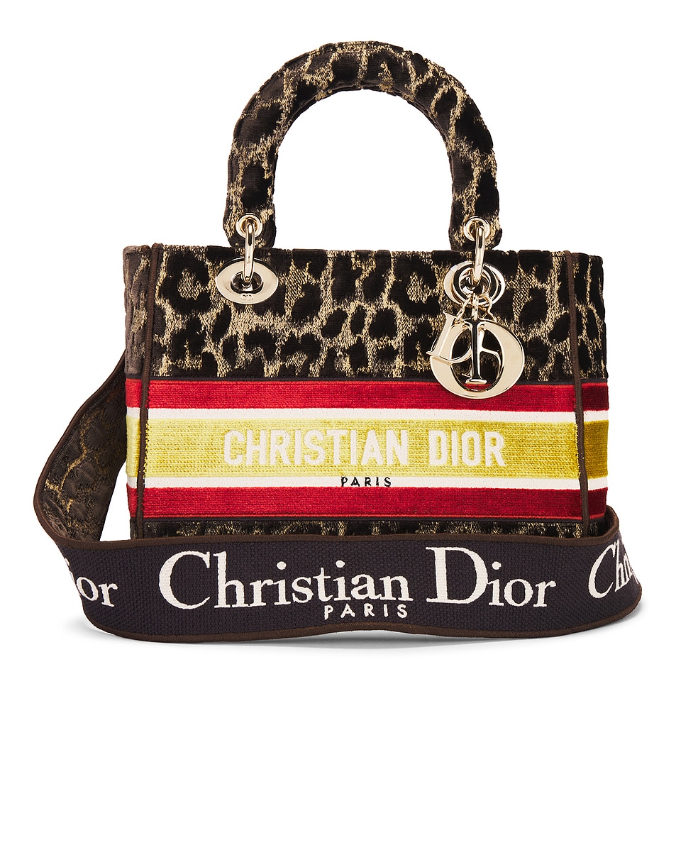 Image 1 of FWRD Renew Dior Leopard Lady D-Lite Handbag in Multi