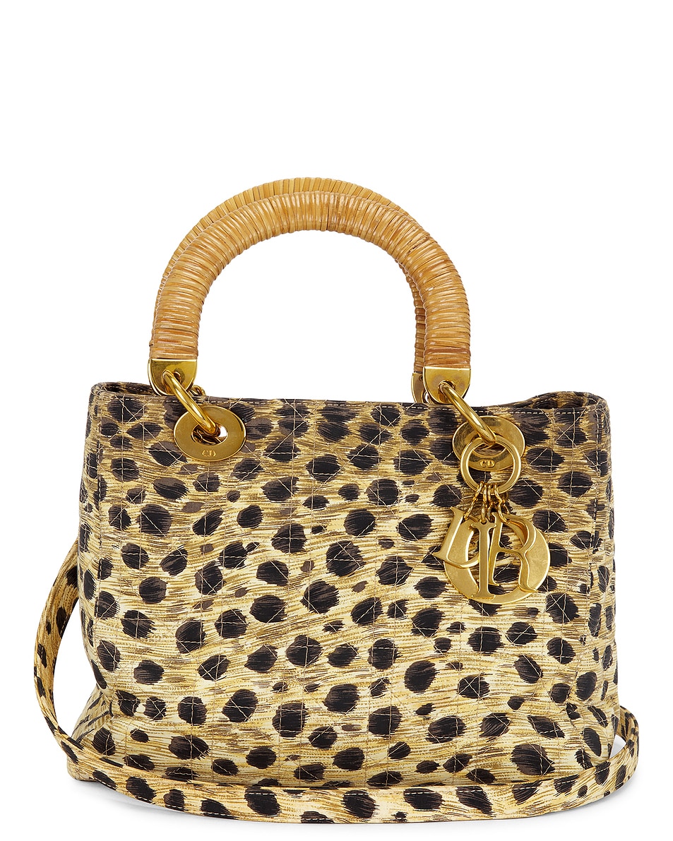 Image 1 of FWRD Renew Dior Leopard Lady Dior Handbag in Beige