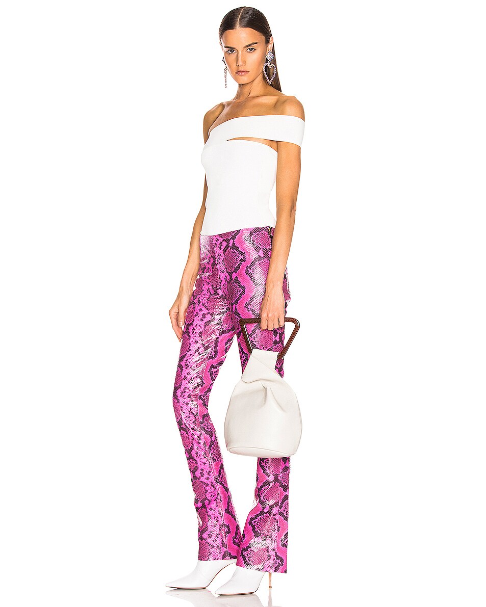 Tote Gaia