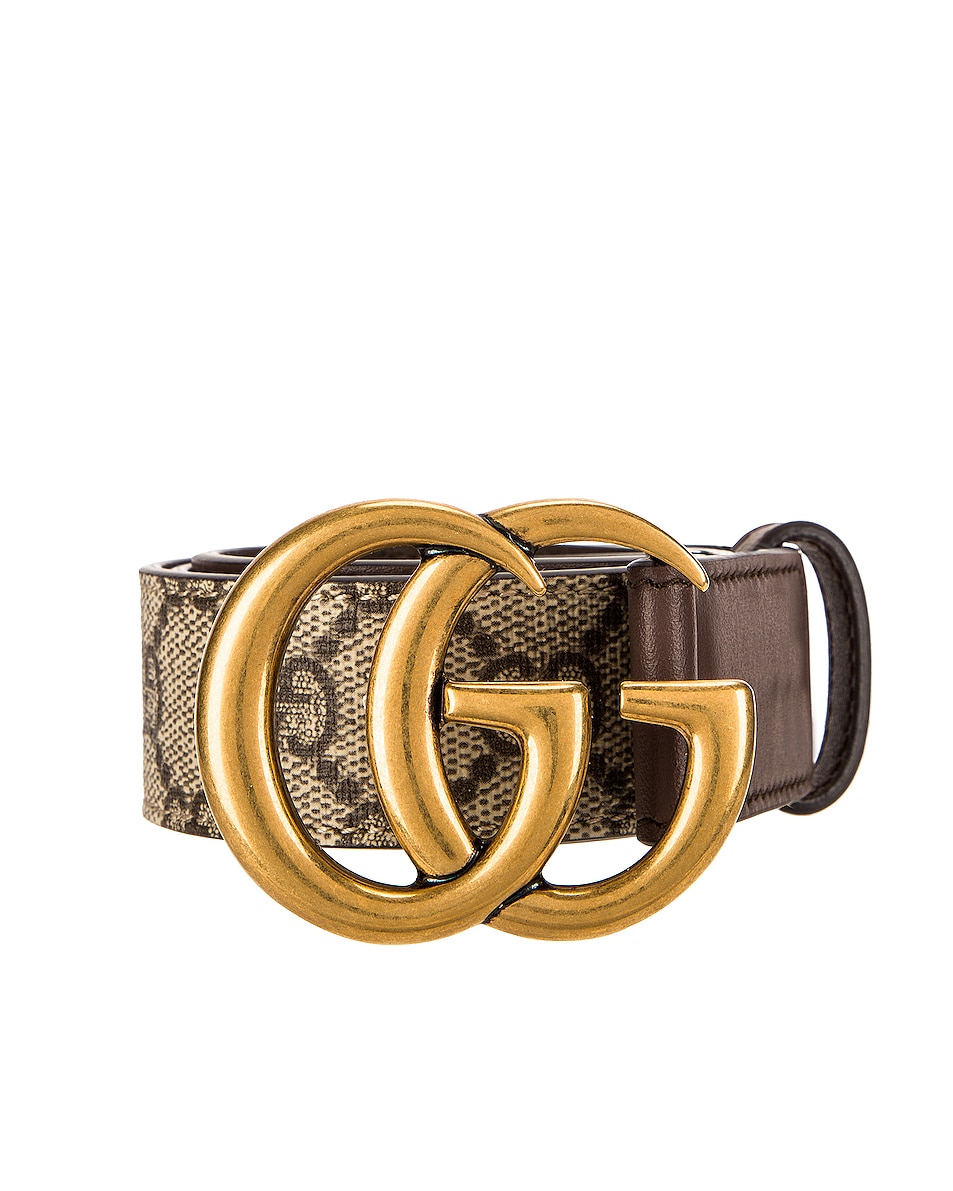 Image 1 of Gucci GG Belt in Beige Ebony
