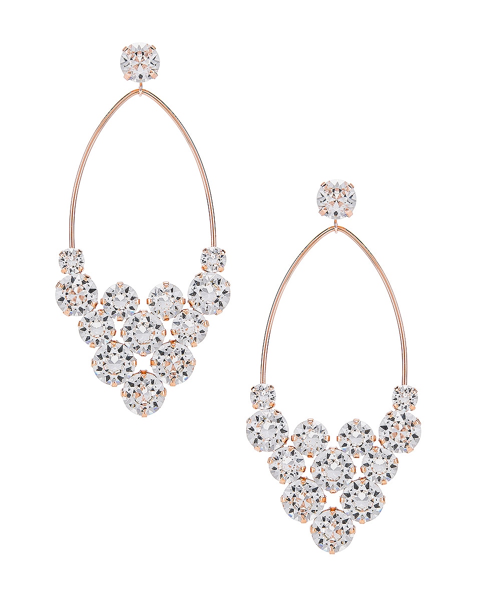 Image 1 of Isabel Marant Chic Earrings in Transparent