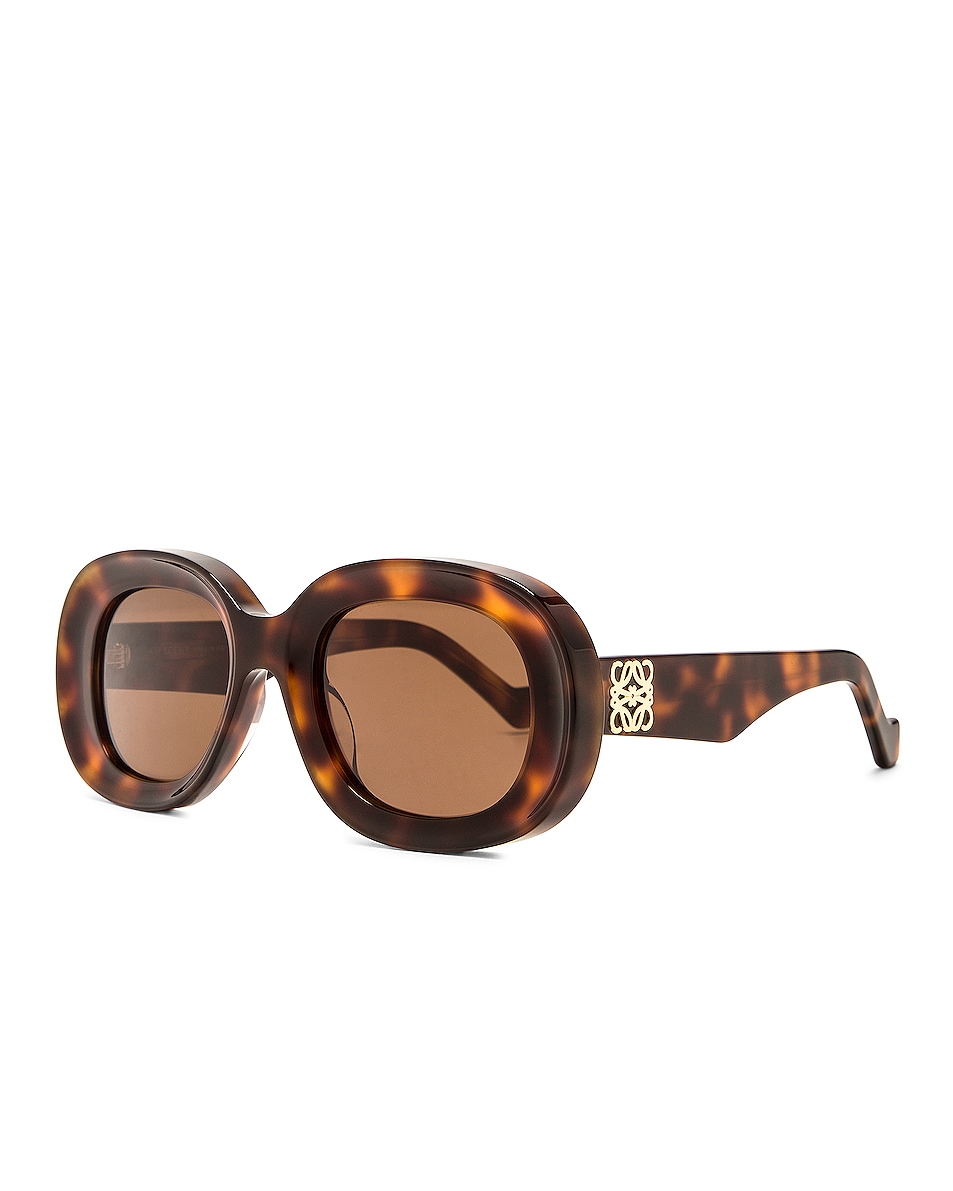 Loewe Round Sunglasses In Havana Fwrd 