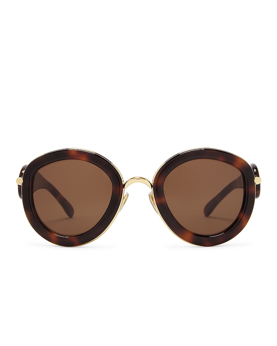 Image 1 of Loewe Round Sunglasses in Dark Havana & Brown