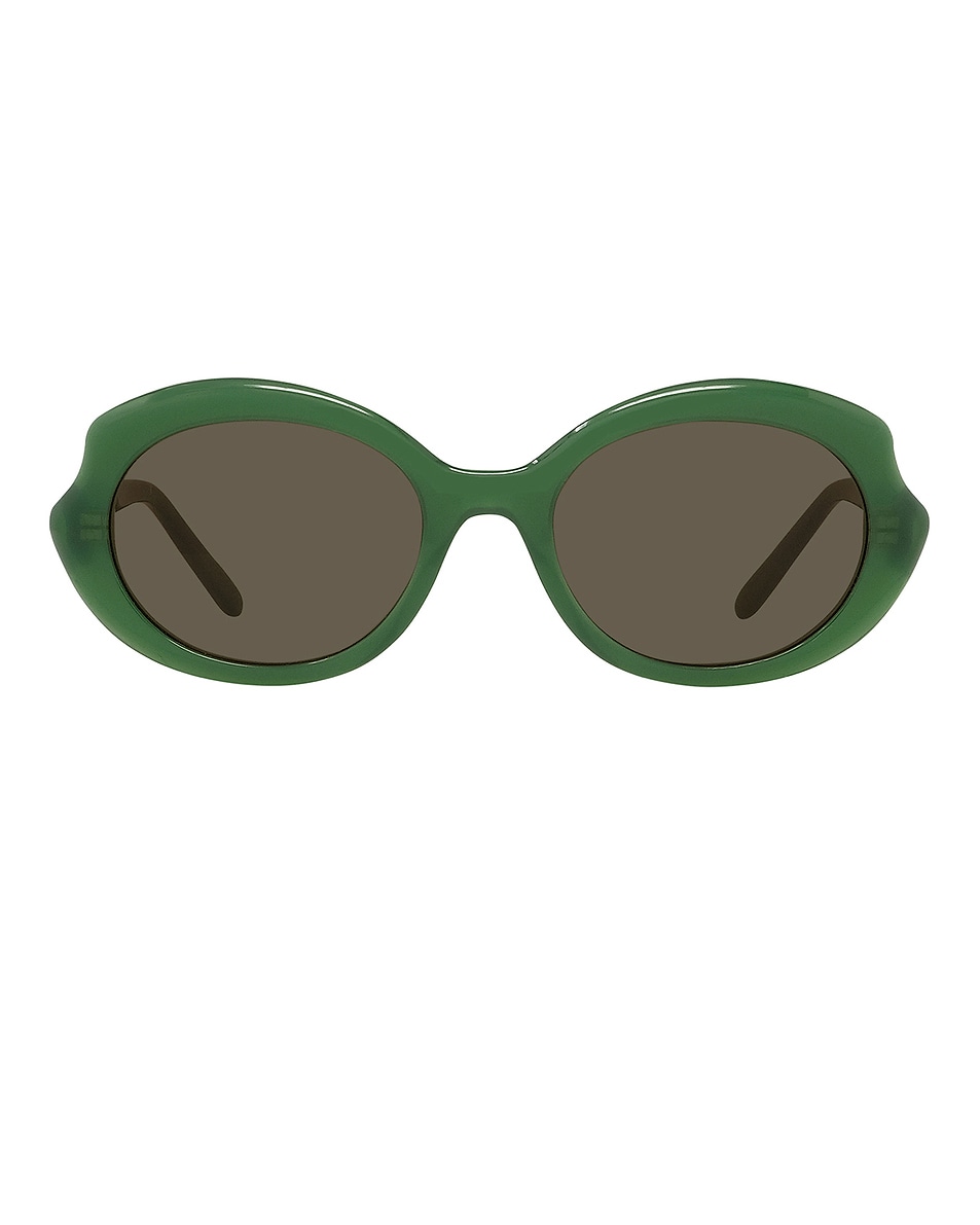 Image 1 of Loewe Oval Sunglasses in Shiny Dark Green & Brown