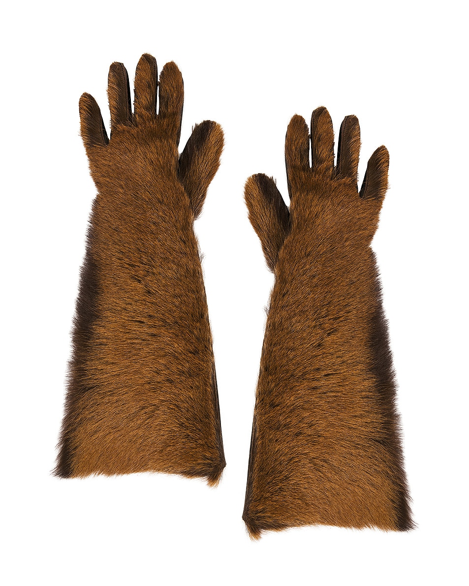 Image 1 of Magda Butrym Leather Gloves in Brown