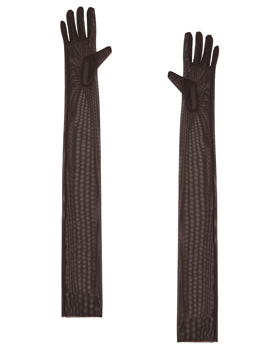 Image 1 of Norma Kamali Long Gloves in Espresso