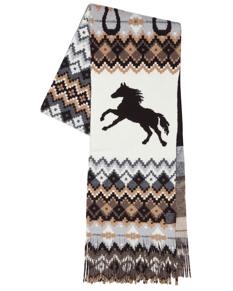 Image 1 of Stella McCartney Fairsile Scarf in Multicolor