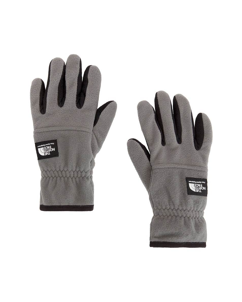 Image 1 of The North Face Etip Heavyweight Fleece Gloves in Smoked Pearl