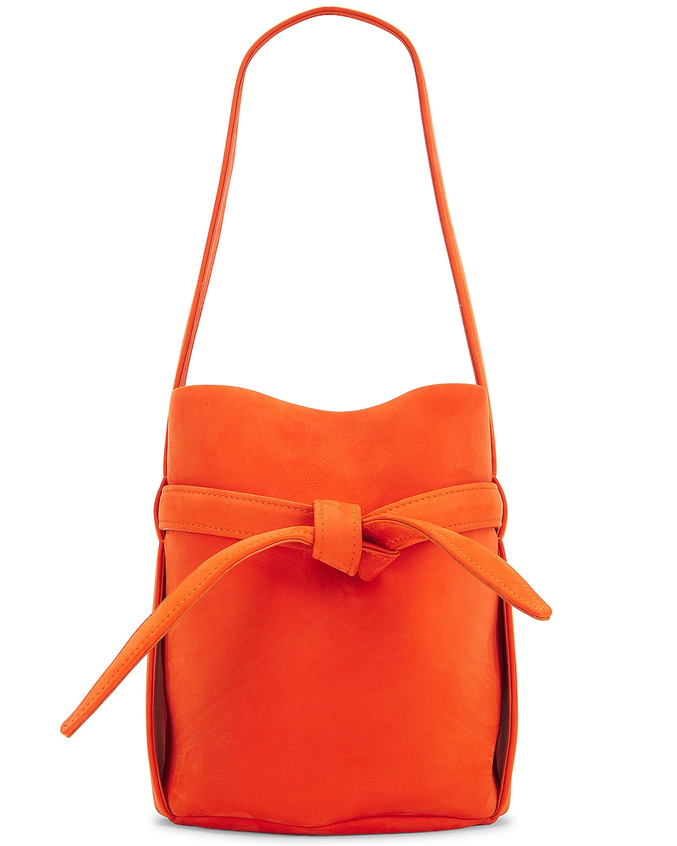 Image 1 of The Row Mini Leo Bag in Orange