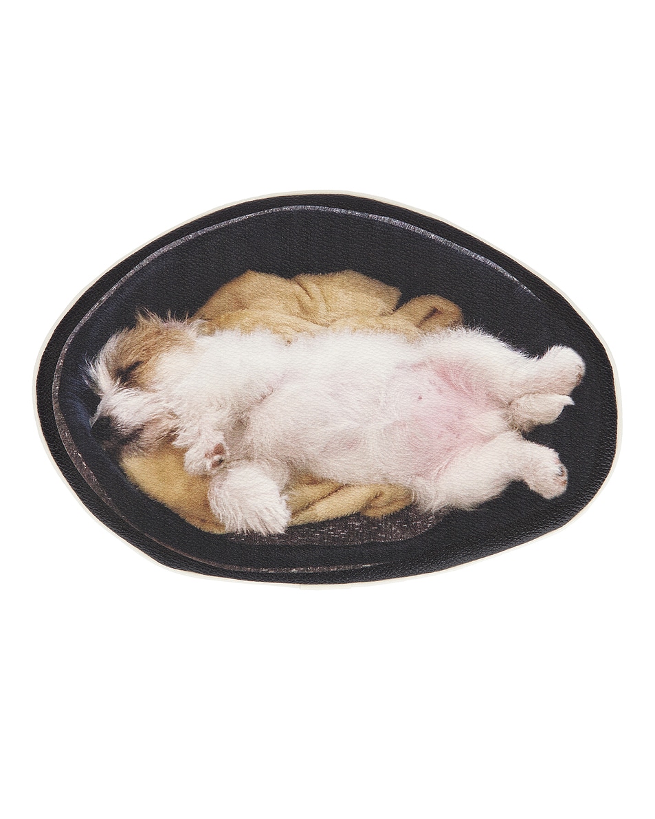 Image 1 of Undercover Dog Pouch in Black